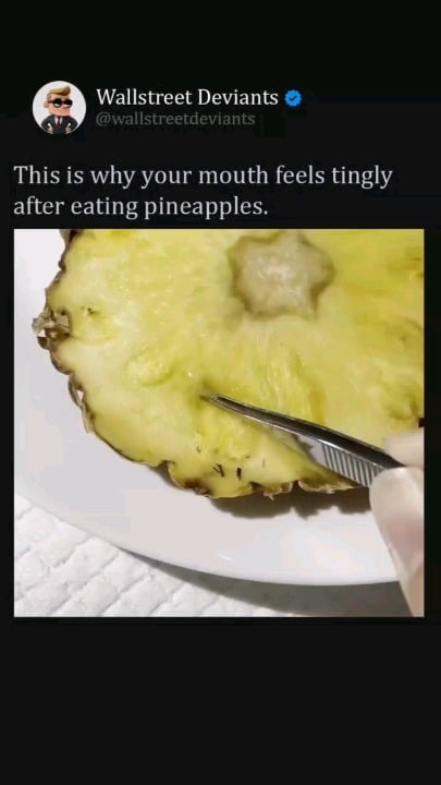 Did you know that pineapples are made of tiny needle structure.