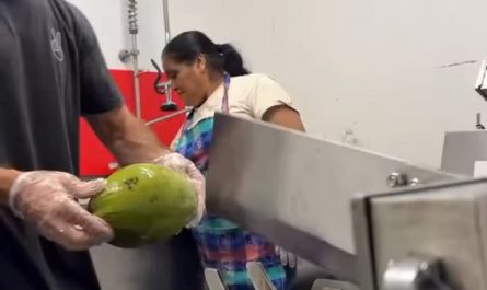 Efficient slicer