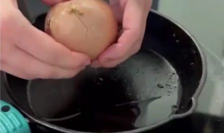Egg laying an Egg