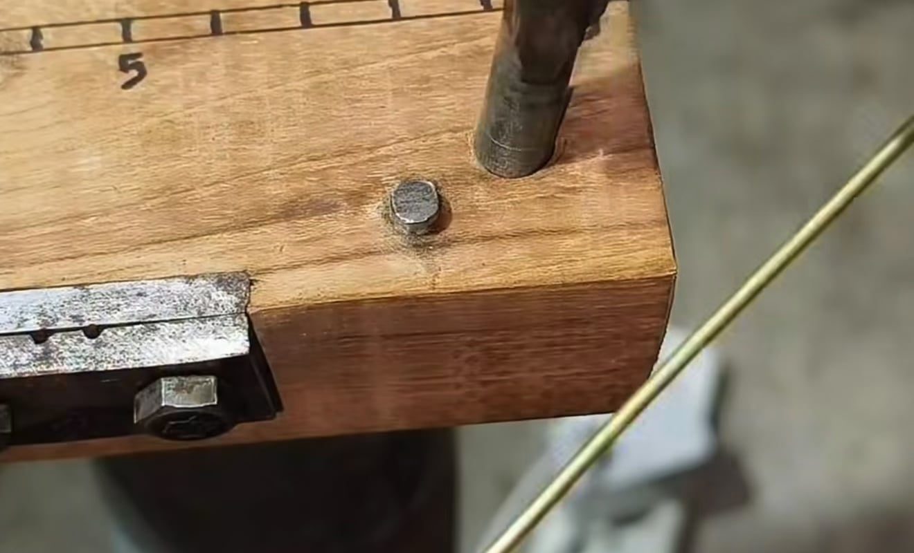 Fashioning a shark clip
