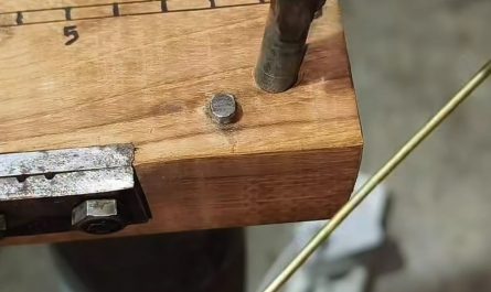 Fashioning a shark clip