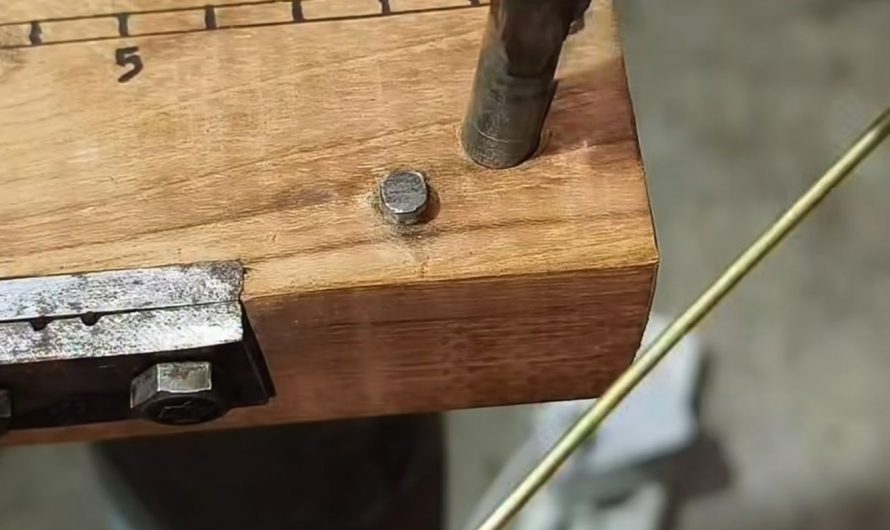 Fashioning a shark clip