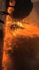 Firefighters in Madrid trying to extinguish a forest fire that is less than 30km/20mi away from the capital of Spain