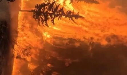 Firefighters in Madrid trying to extinguish a forest fire that is less than 30km/20mi away from the capital of Spain