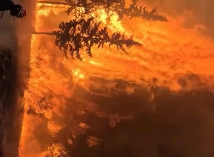 Firefighters in Madrid trying to extinguish a forest fire that is less than 30km/20mi away from the capital of Spain