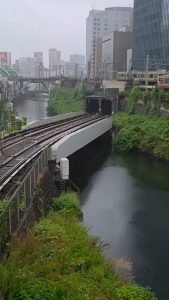 Five trains passing by at the same time in Tokyo