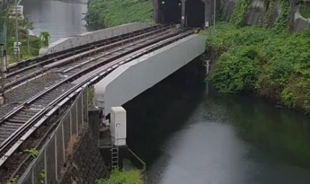Five trains passing by at the same time in Tokyo