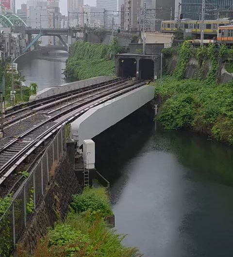 Five trains passing by at the same time in Tokyo