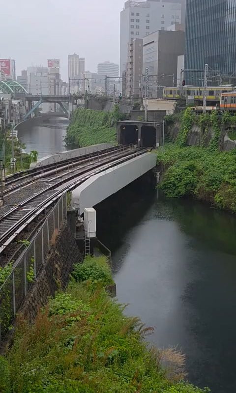 Five trains passing by at the same time in Tokyo