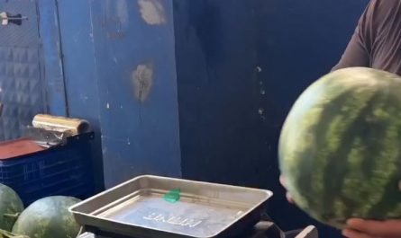 Fooling around with watermelon
