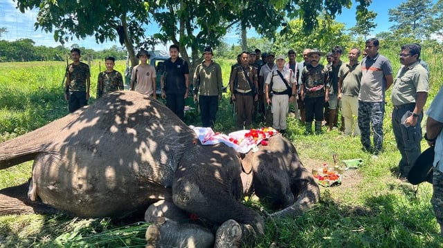 Forest officials hold a funeral for Joymala, a patrol elephant that served for over 3 decades. She earned international recognition in 2004 after a face-off with a stray tiger during a routine forest patrol.