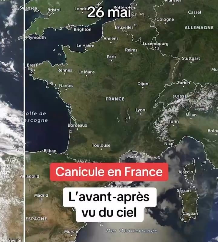 *