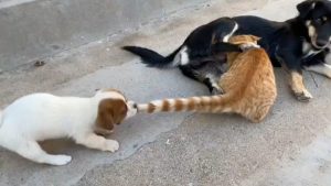 Go away, this is not your mother