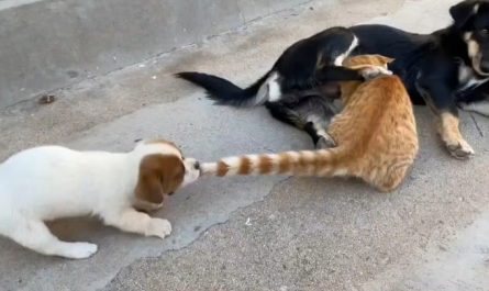 Go away, this is not your mother