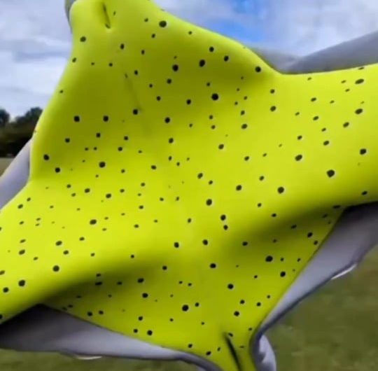 Goalkeepers gloves