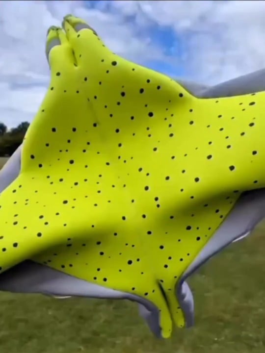 Goalkeepers gloves
