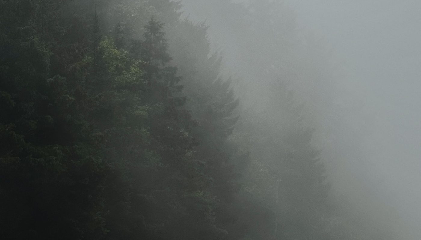 Heavy fog at the beach