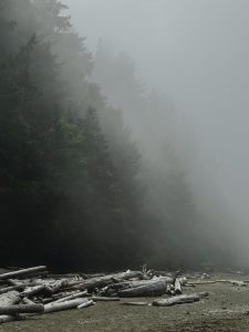 Heavy fog at the beach