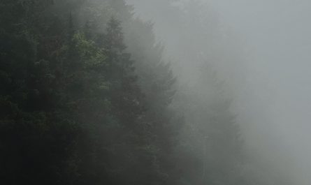Heavy fog at the beach