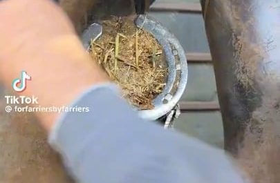 Horseshoe replacement