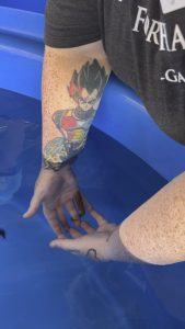 I got to hold a seahorse, my favorite aquatic fish. He held ons good while which is typical rare. Place: Ocean Riders seahorse farm in O’ahu.