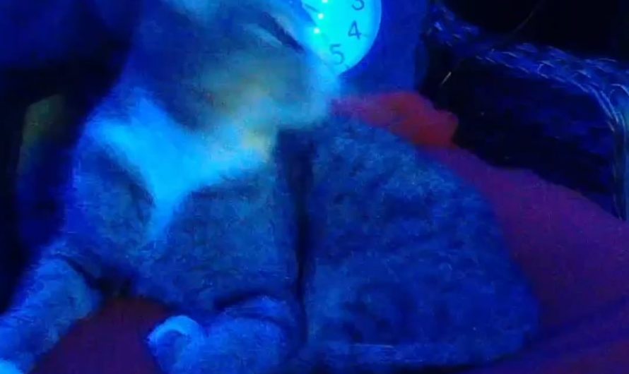 I love the way she rolls around when she’s sleeping