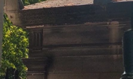 I saw a crow today in Paris that mimics the French police car siren