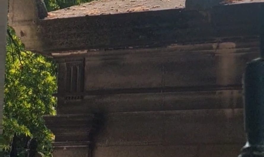 I saw a crow today in Paris that mimics the French police car siren