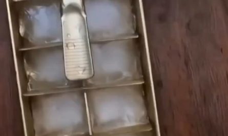 Ice tray from the 1930s