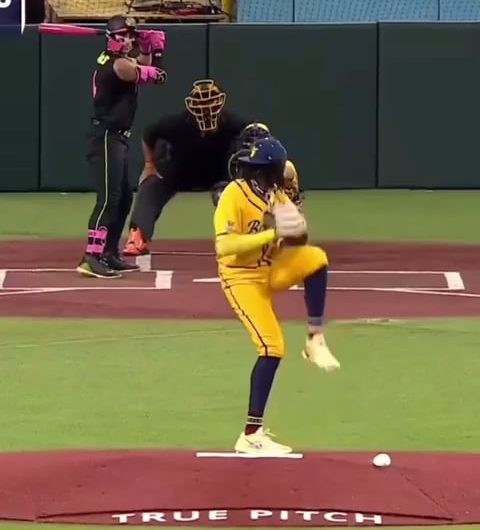 Impressive backflip catch from RobertAnthony Cruz of The Savannah Bananas