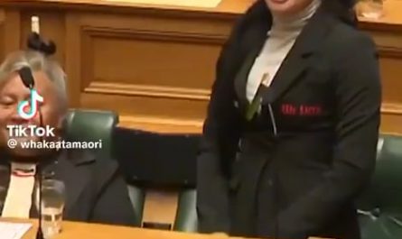 In 2024, New Zealand's parliament was brought to a temporary halt by MPs performing a haka, amid anger over a controversial bill seeking to reinterpret the country's founding treaty with Māori people.