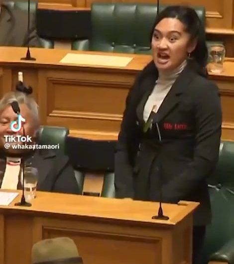 In 2024, New Zealand’s parliament was brought to a temporary halt by MPs performing a haka, amid anger over a controversial bill seeking to reinterpret the country’s founding treaty with Māori people.