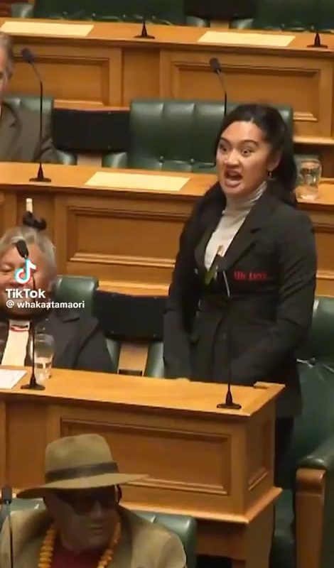 In 2024, New Zealand's parliament was brought to a temporary halt by MPs performing a haka, amid anger over a controversial bill seeking to reinterpret the country's founding treaty with Māori people.