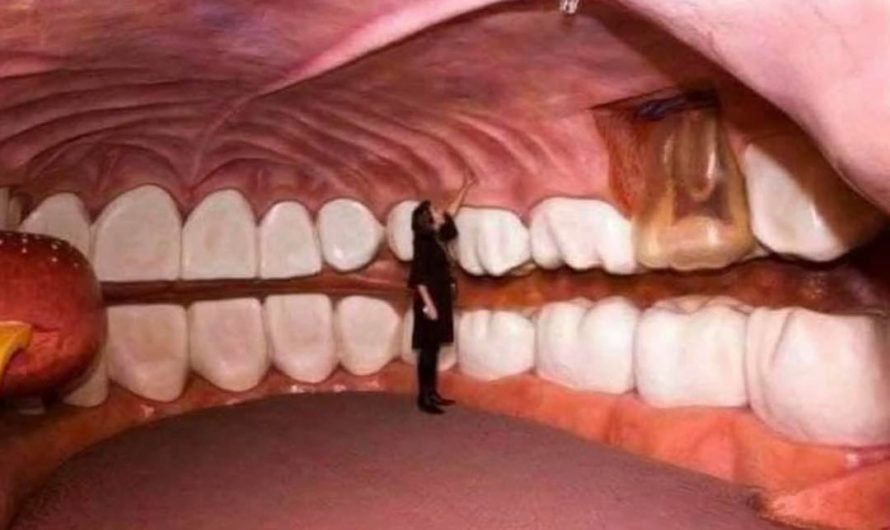In Holland there is a museum that shows you the entire human body from the inside, you will be a tiny person inside the recreation of a human body, it is in the Corpus Museum of Oegstgeest