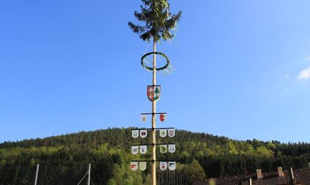 In some parts of Germany, a tree is erected in the town center on May 1. Whoever manages to steal the tree from a neighboring town before it is erected enters into negotiations with that town to haggle over the “ransom.” This usually consists of large amounts of goods, such as beer, wurst or bread