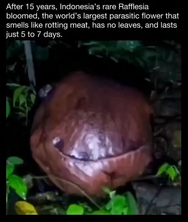 *