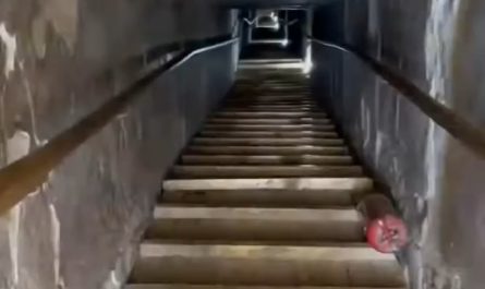 *