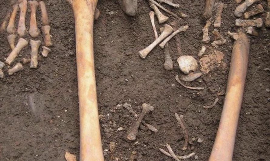 Known as “Coffin Birth”. A pregnant female corpse can build up enough gas to expel the fetus even after death.