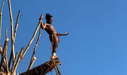 Land diving on Pentecost island in Vanuatu.