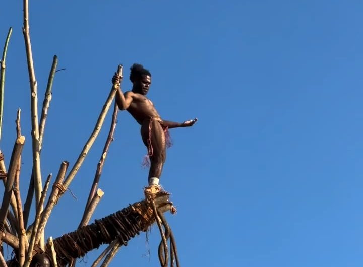 Land diving on Pentecost island in Vanuatu.