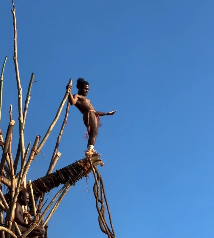 Land diving on Pentecost island in Vanuatu.