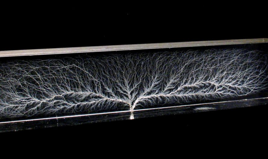 “Lightning” captured in a piece of Lucite. From the Electric Pavilion: New York World’s Fair in 1964. This block of Lucite 10”x2” was put in sup zero temperatures, charged with thousand of volts of electricity and than struck with an ice pick. After a blinding flash of light, this is the result.