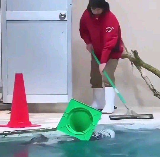 Lil otter pups helping Grandpa