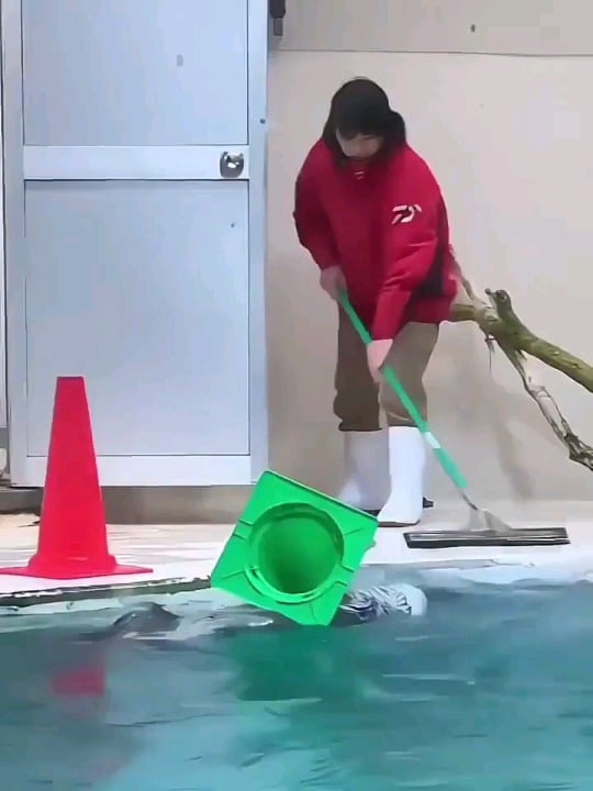 Lil otter pups helping Grandpa