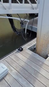 Live electrical wires underwater in the docks