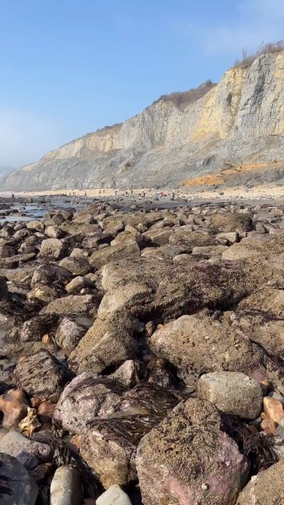 Mesmerizing fossil extraction