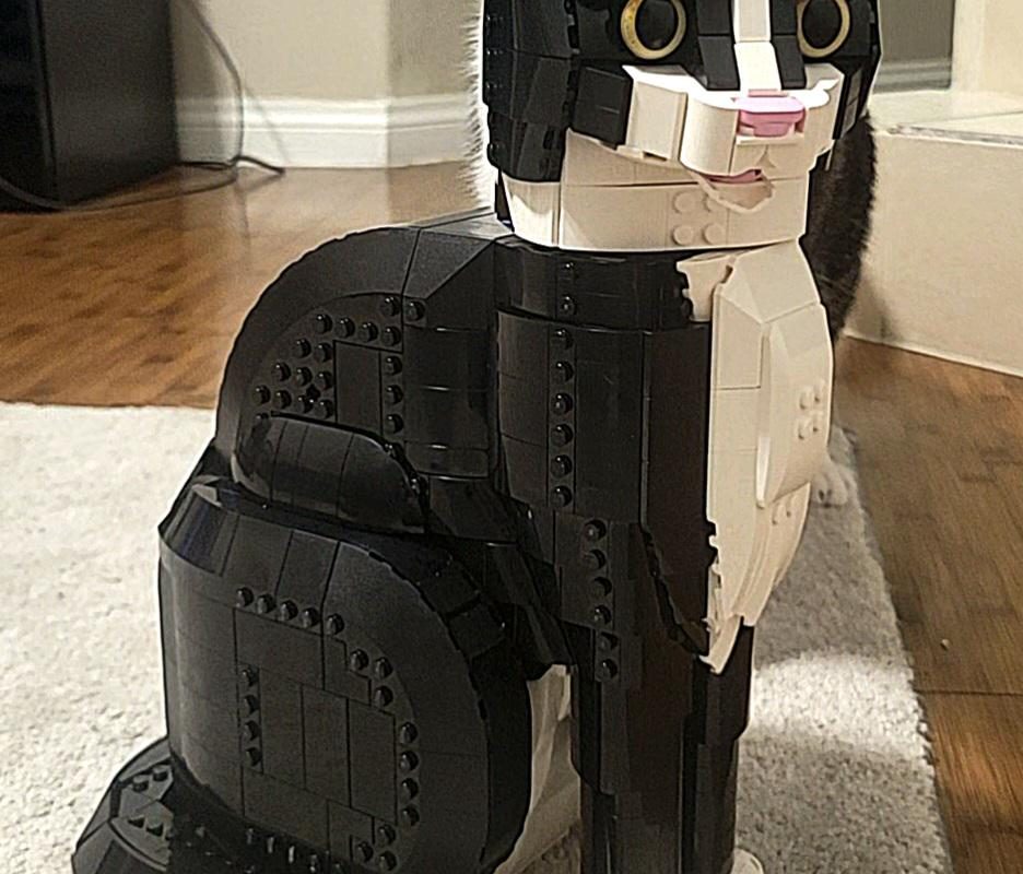 My cat vs lego tuxedo cat