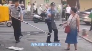 Normal chinese police officers aren't allowed to bear guns, so this is how they subdue people wielding knives
