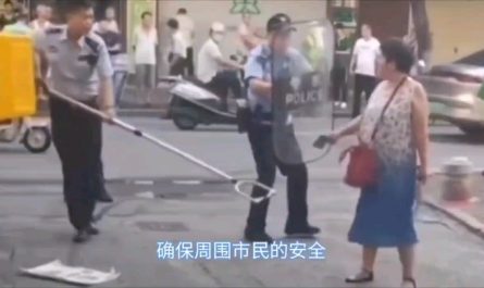 Normal chinese police officers aren't allowed to bear guns, so this is how they subdue people wielding knives