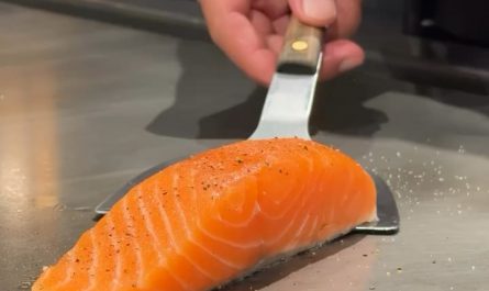 Norwegian salmon and its skin